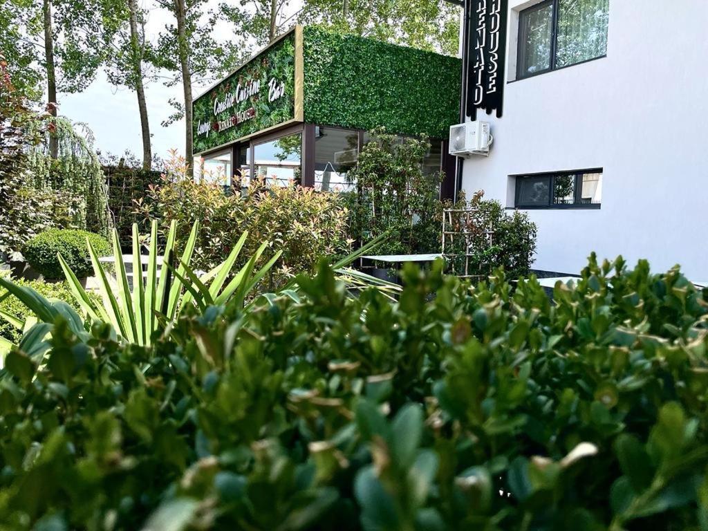 Hotel Renato House à Târgu Jiu Extérieur photo