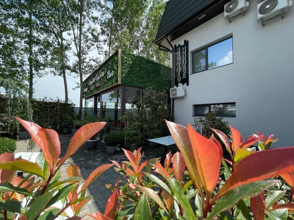 Hotel Renato House à Târgu Jiu Extérieur photo